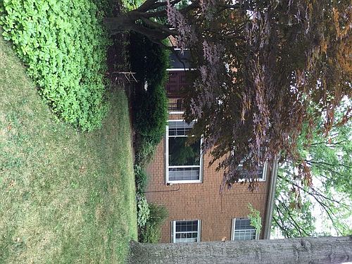 1st image of 1706 Tanglewood Dr