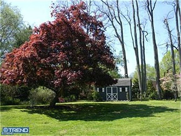 View from back patio