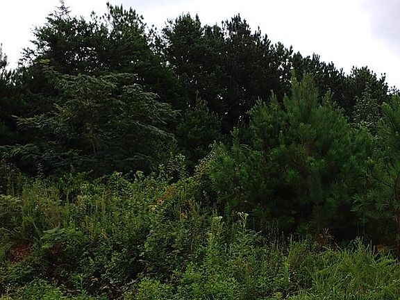 3rd image of 669 County Road 271
