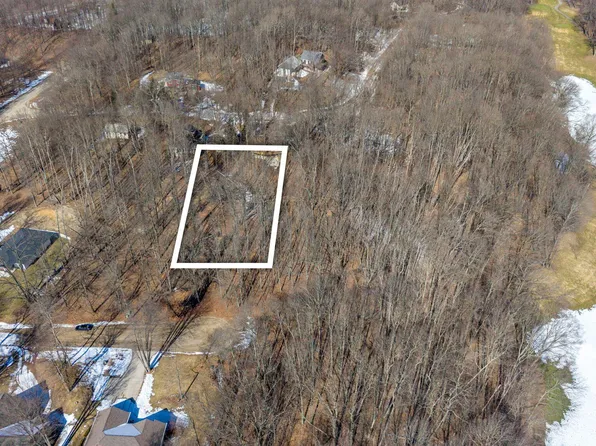 11280 Apache Wells Ct, Stanwood, MI 49346