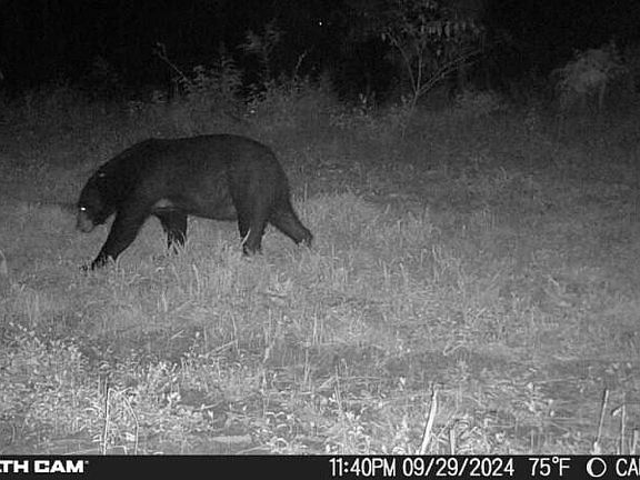 4th image of 7063 Nc Highway 87
