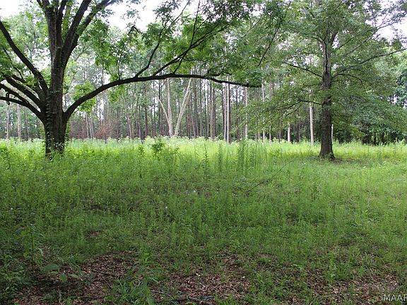 3rd image of 1563 Fort Deposit Rd