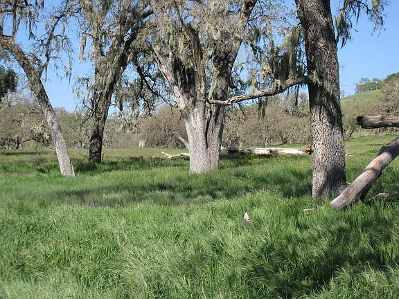 3rd image of 12 Nacimiento Lake Dr