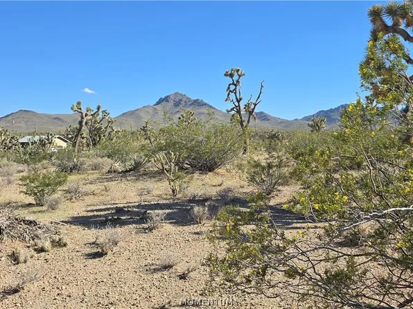 327-03-461 S Quail Drive, Dolan Springs, AZ 86441