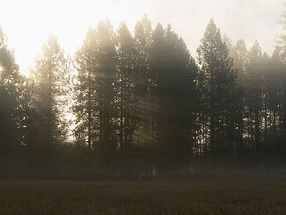 4th image of 3 Of Turnipseed Creek Acre