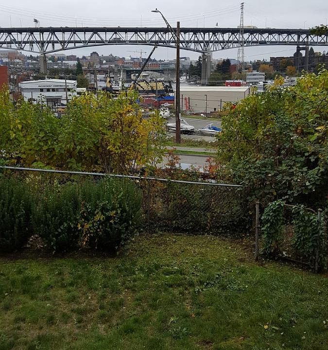 View from deck