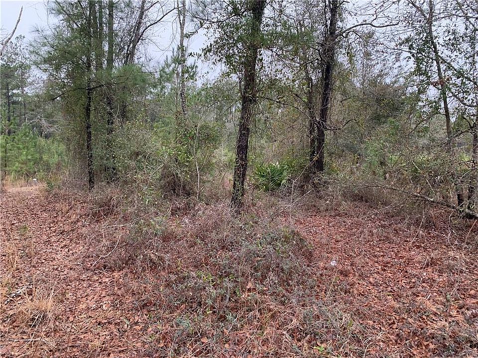1st image of 0 Buster Walker Rd