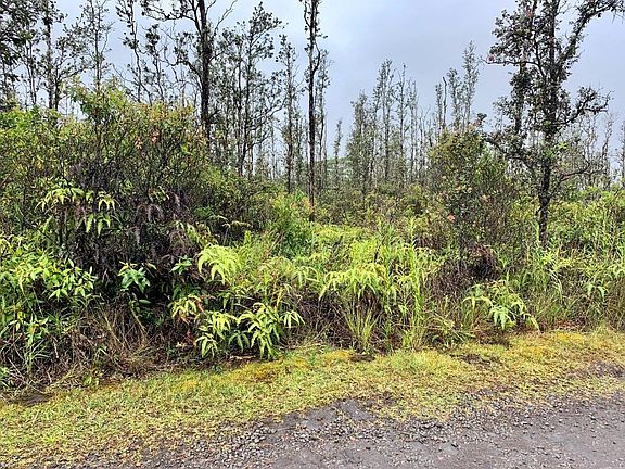 4th image of Road 7 Opeapea Lot 4563