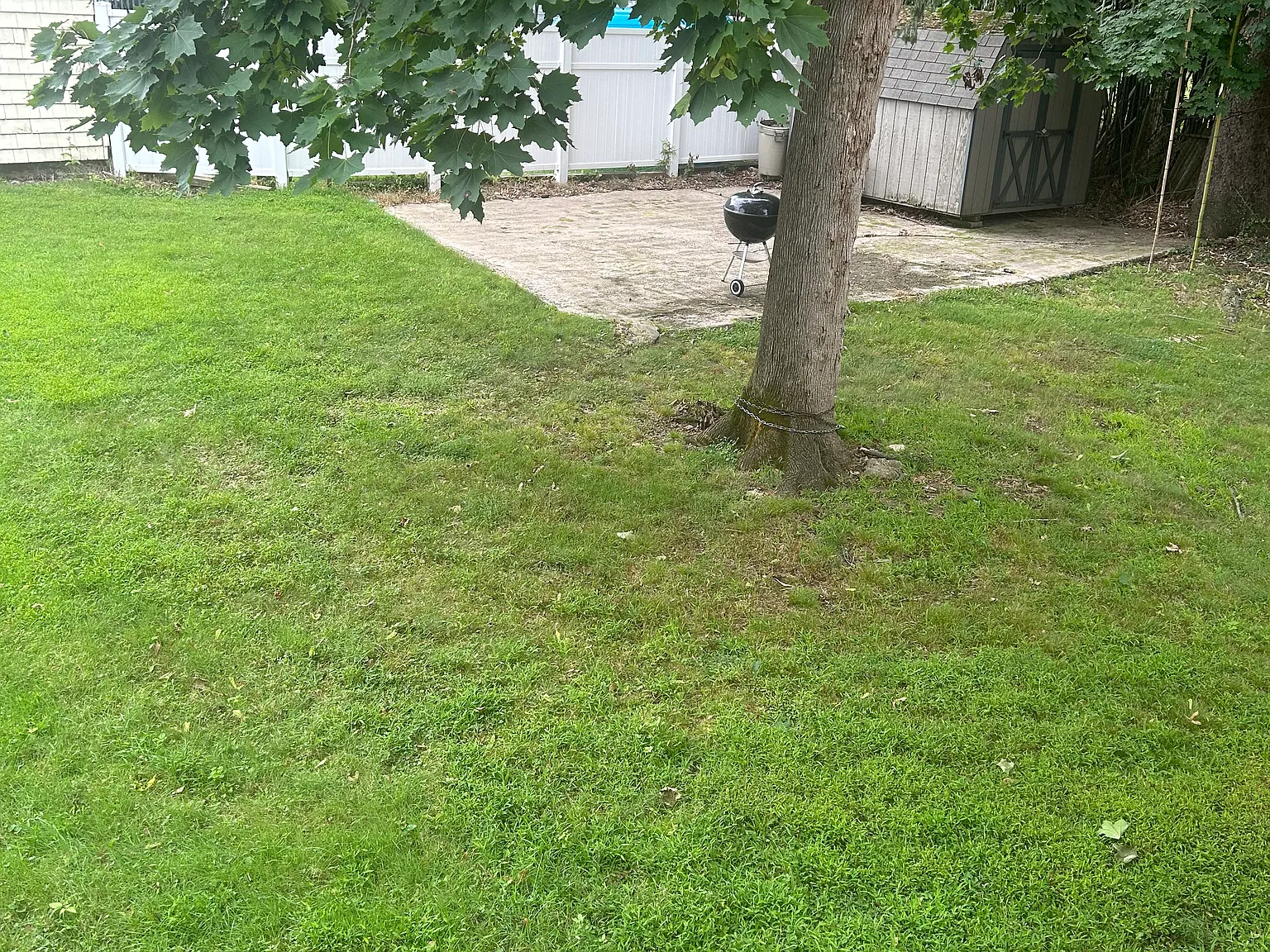 1 bed, 1556 sqft, $2,300 — Photo 2