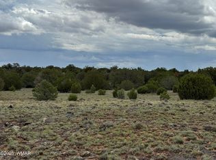 8 County Road 8080, Concho, AZ 85924