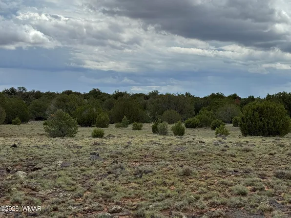 8 County Road 8080, Concho, AZ 85924