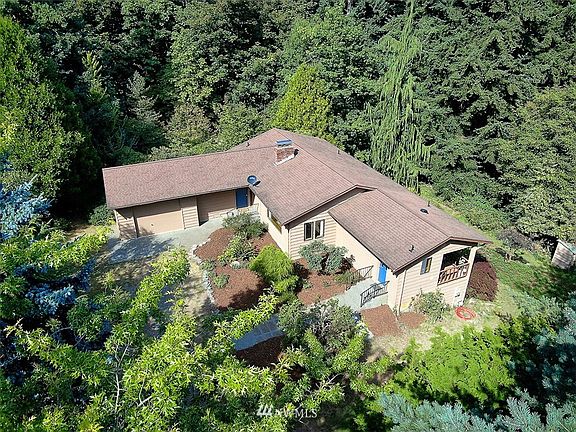 Perspective from the Eagles & the Osprey