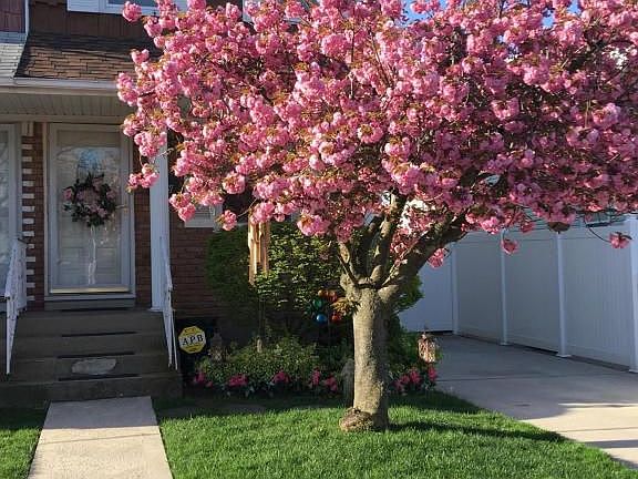 2nd image of 428 Katan Ave