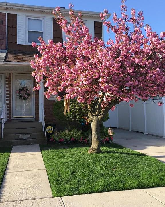 1st image of 428 Katan Ave