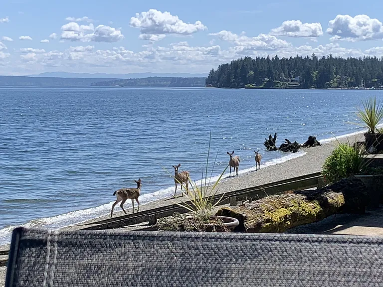 9946 Johnson Point Rd NE — Photo 34