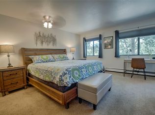 749 Lagoon Drive UNIT 2A, Frisco, CO 80443