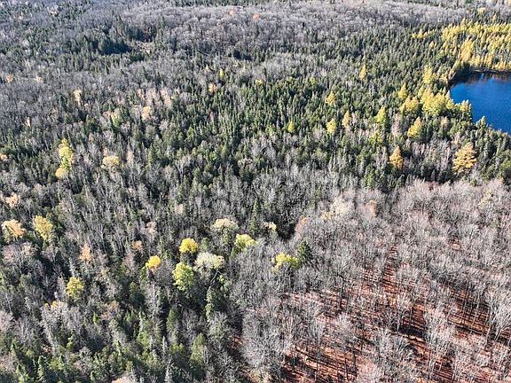 5th image of LOT 2 Off Sucker Lake Rd