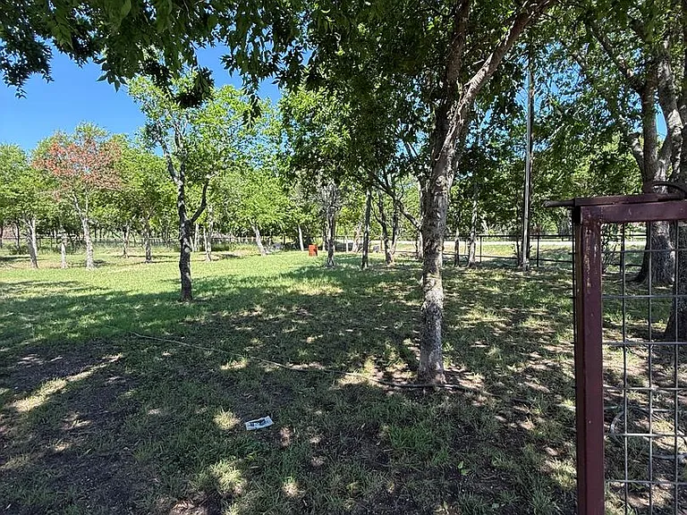 8033 Lax Dr — Photo 6