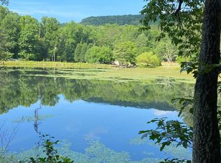 L40 Amelia Ct, Ellijay, GA 30540