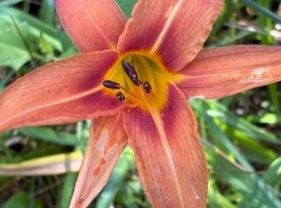 LOT 4 Old Furnace Rd, Tellico Plains, TN 37385