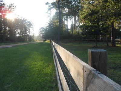 11097 Tammy Cir, Plantersville, TX, 77363