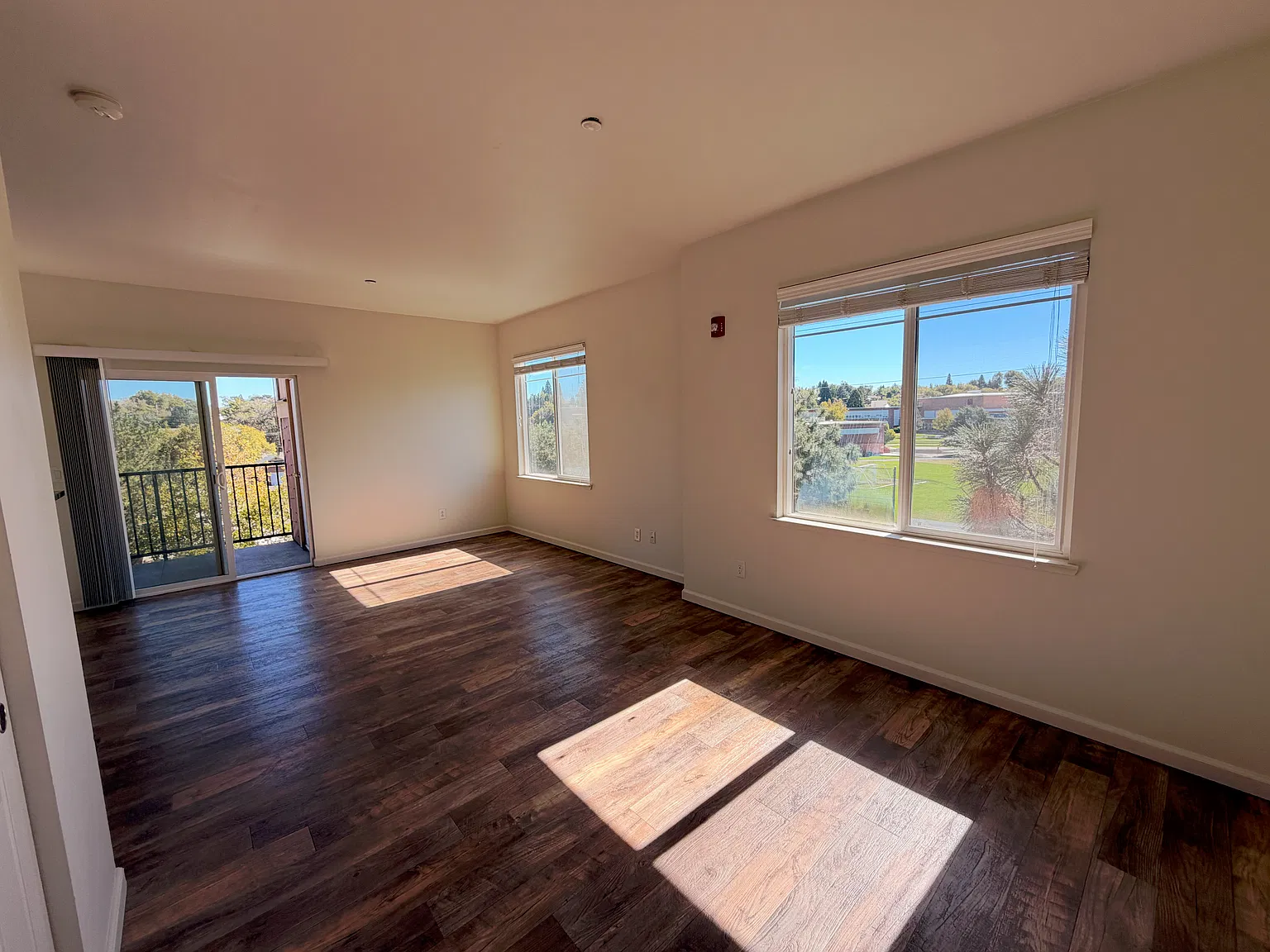 Studio, 550 sqft, $1,599 — Photo 2