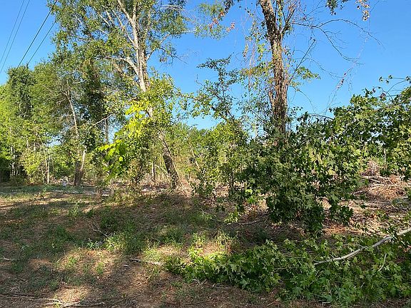 3rd image of 18431 County Road 2153 #1