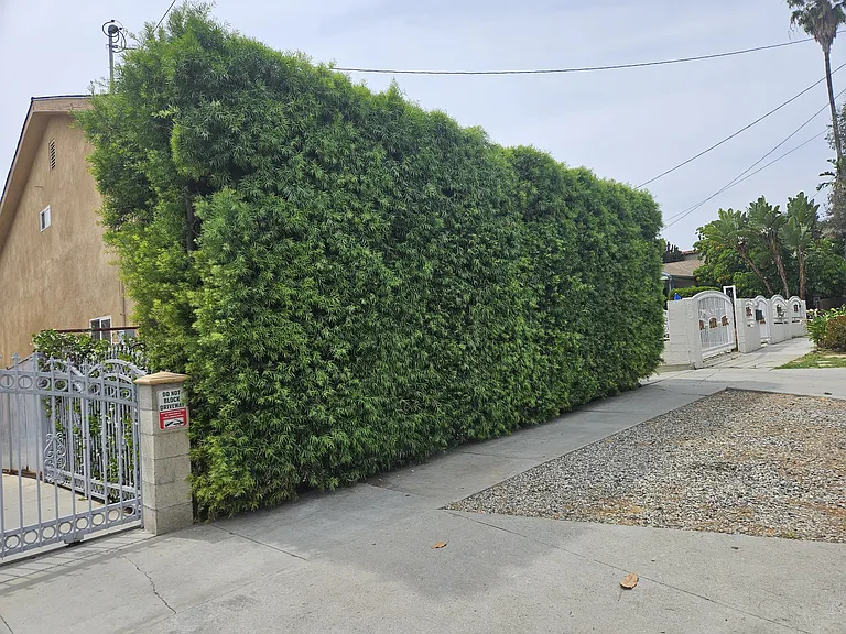 Current Privacy Hedge