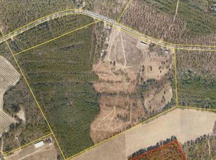 Bachman Dykes Rd, Swansea, SC 29160