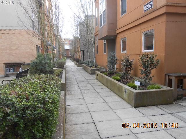 1st image of 6243 NE Carillion Dr Unit 201