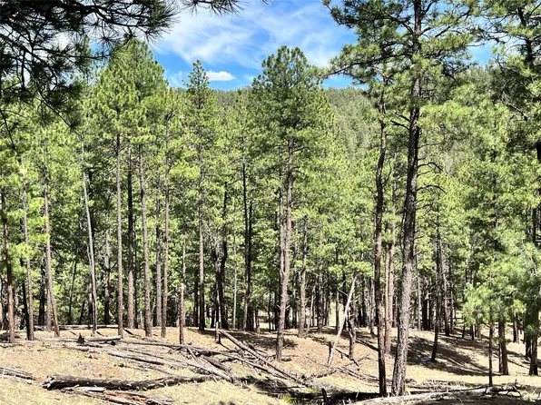 Vicinity Forest Rd #86, Pecos, NM 87552