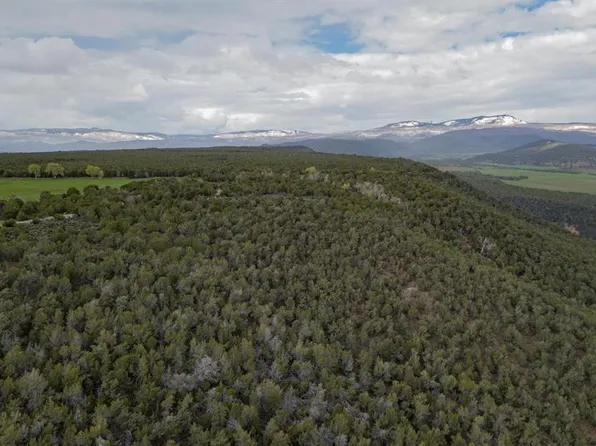 TBD P50 Road, Hotchkiss, CO 81419