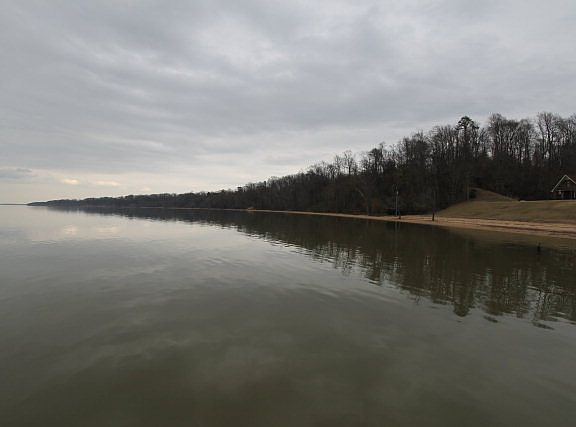 5th image of 484 Driftwood Shores Dr