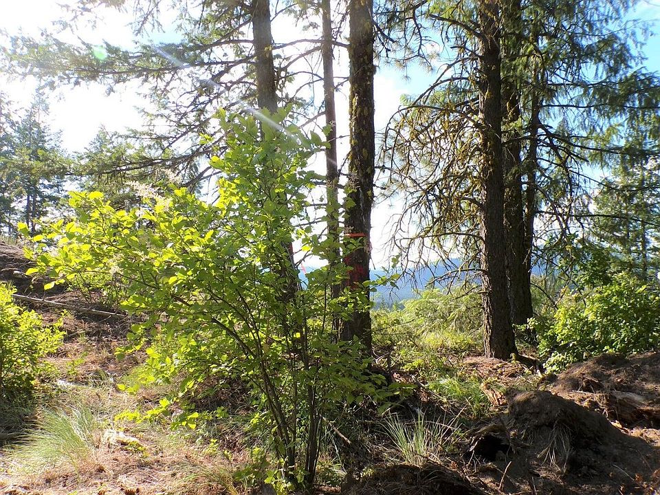 4xx S Barnaby Creek Rd Inchelium WA Zillow