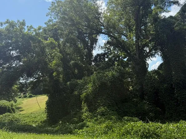 0 Branch St, Abbeville, SC 29620