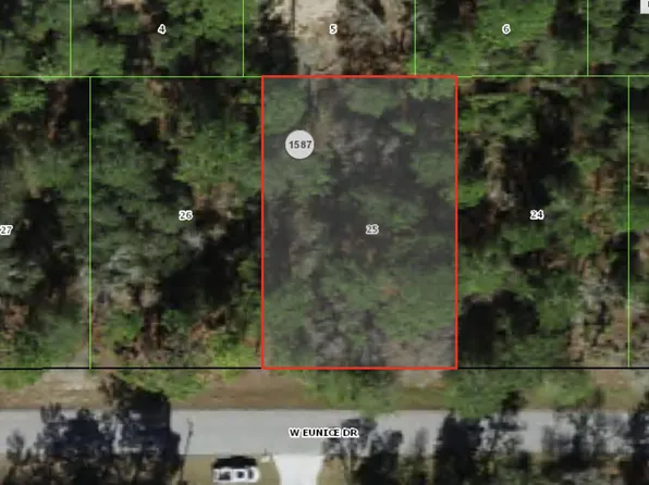 3073 W EUNICE Drive, Dunnellon, FL 34433
