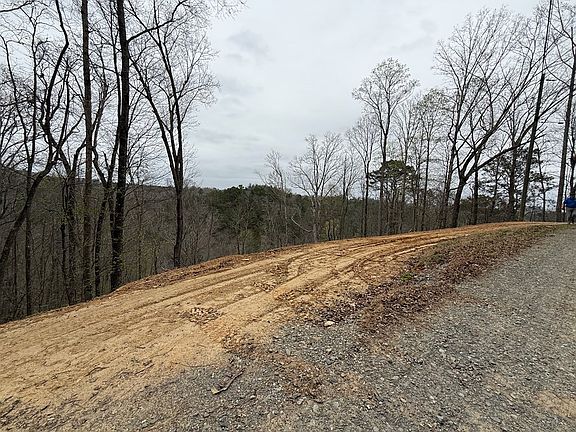 4th image of 135 Flat Ridge Rd