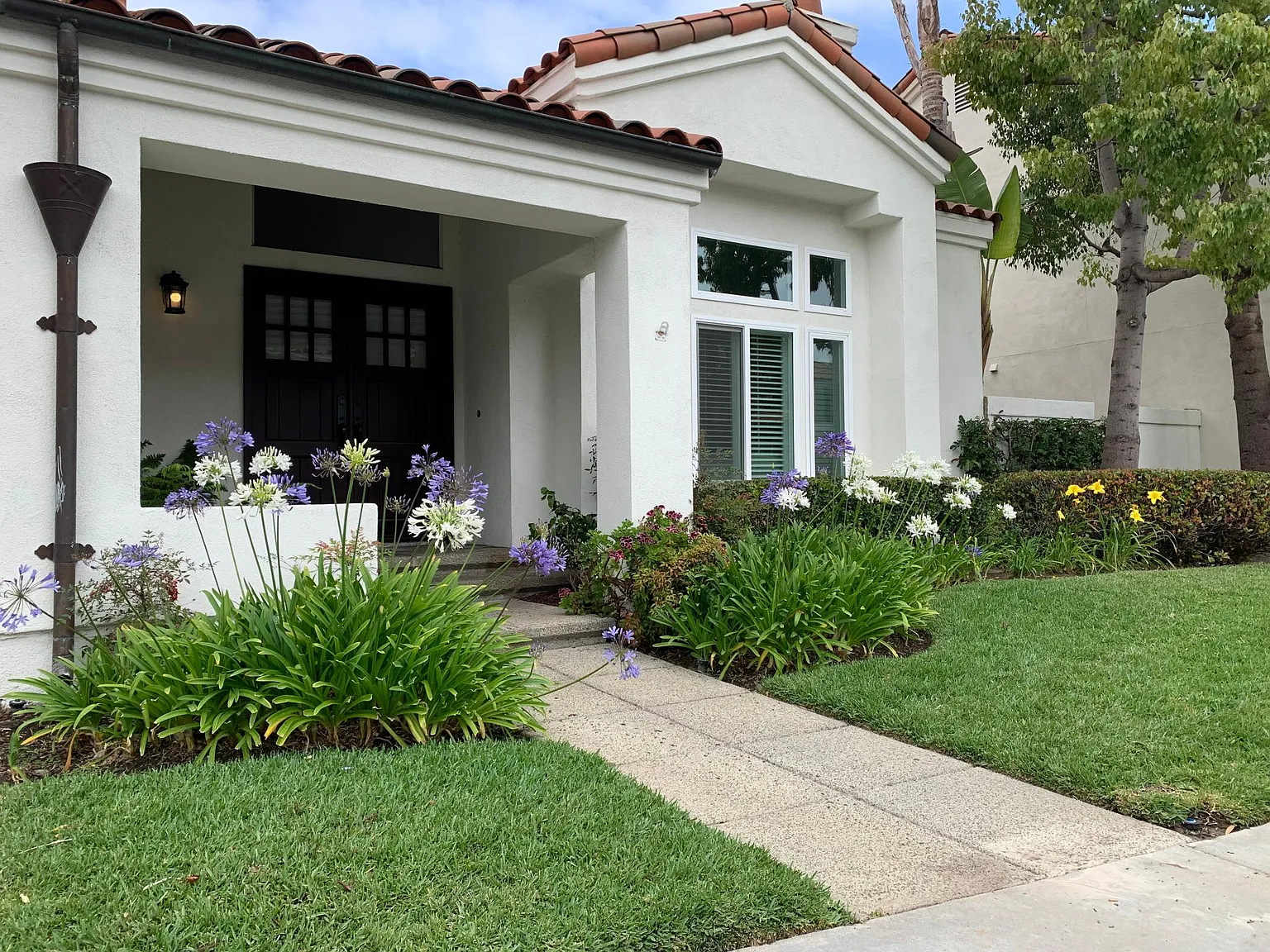 3063 Corte Marin — Photo 4
