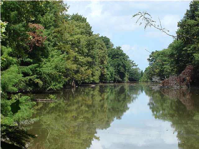 1st image of 0 Highway 49 N