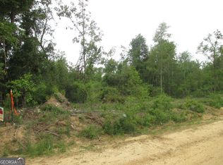 08600008T6 Hayride Rd, Lumber City, GA 31549