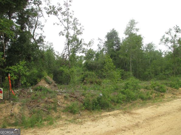 08600008T6 Hayride Rd, Lumber City, GA 31549