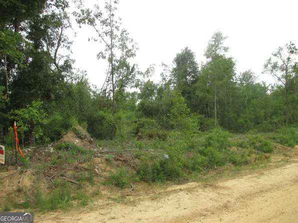 08600008T6 Hayride Rd, Lumber City, GA 31549