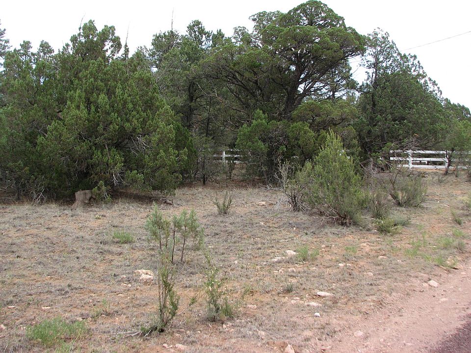 2nd image of 2178 Rim View Ln