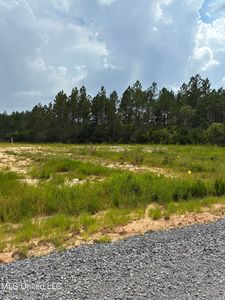 PARCEL Four Angelwood Ln, Kiln, MS, 39556
