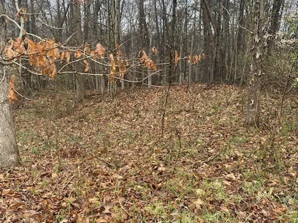 0 Progress Ridge Rd, Walker, WV 26180