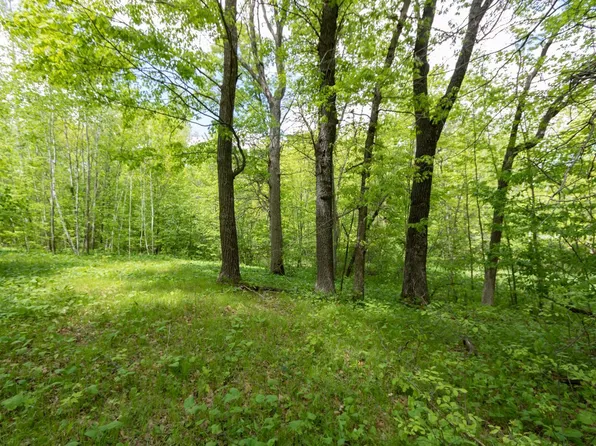 LOT 12 133rd St, Amery, WI 54001