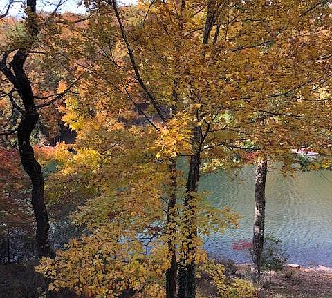 2nd image of 53 Brummel Ln Lot 28