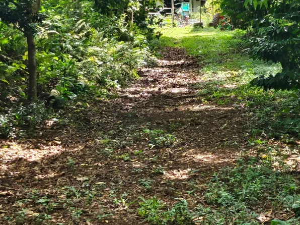 4896D Kua Rd #1, Kalaheo, HI 96741