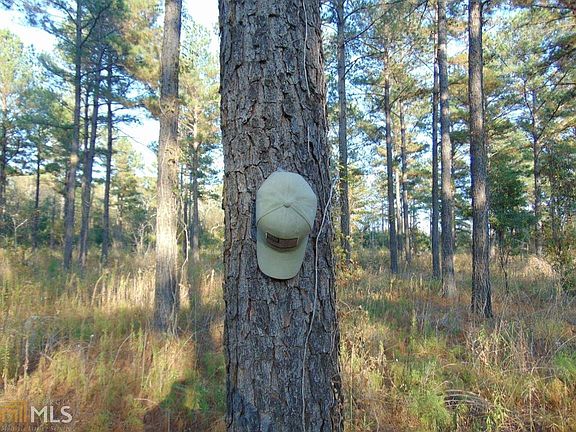 3rd image of 0 Cochran Hwy #26