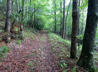 999 E Fork Rd, Brevard, NC 28712